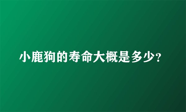 小鹿狗的寿命大概是多少？