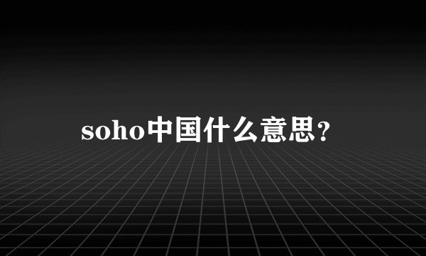soho中国什么意思？