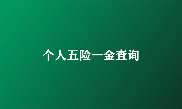 个人五险一金查询