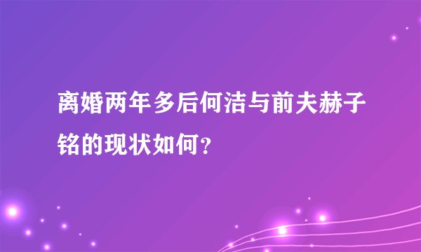 离婚两年多后何洁与前夫赫子铭的现状如何？