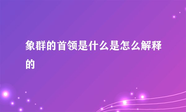 象群的首领是什么是怎么解释的