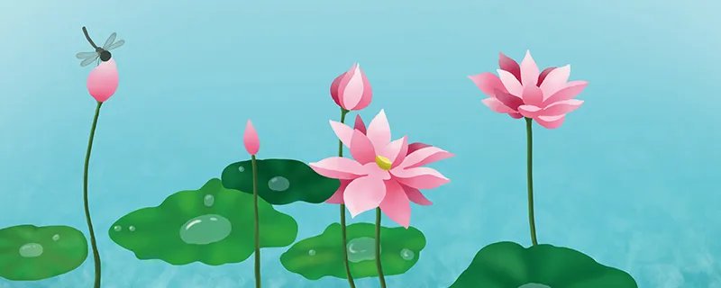 小池古诗的意思是什么 小池古诗全诗翻译
