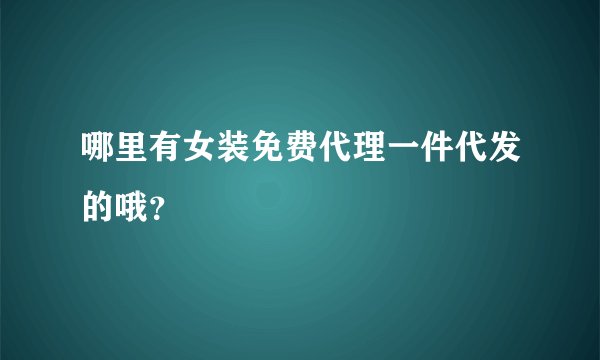 哪里有女装免费代理一件代发的哦？