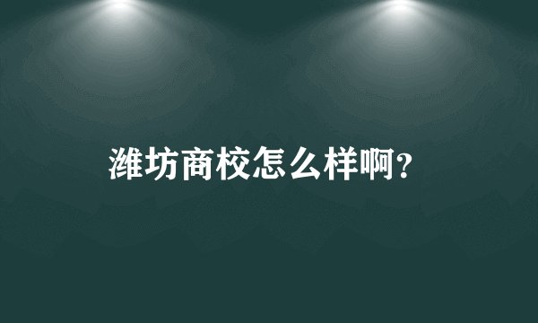潍坊商校怎么样啊？