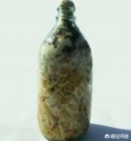 食用菌从种植到加工需要用到什么设备?