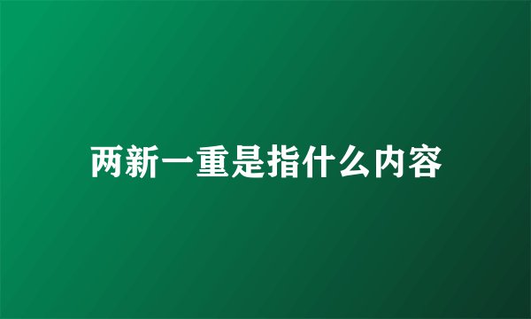 两新一重是指什么内容