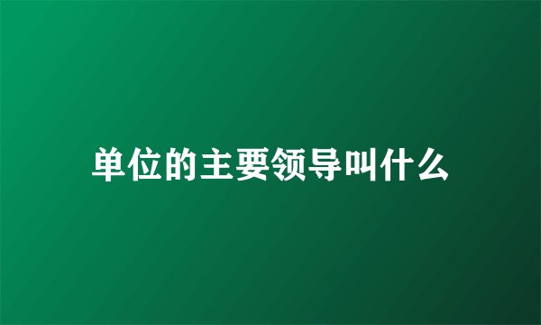 单位的主要领导叫什么