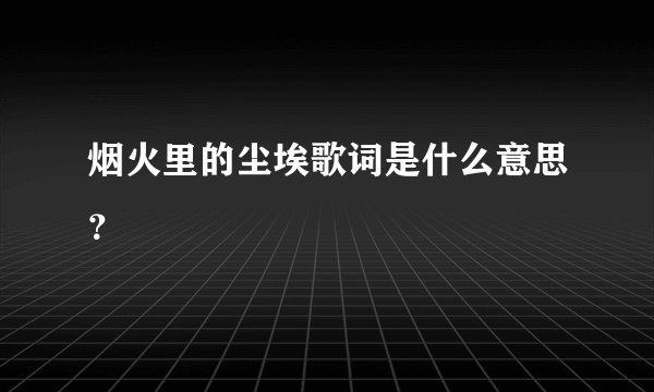 烟火里的尘埃歌词是什么意思？
