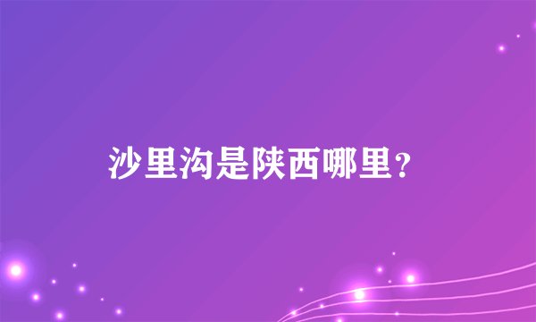 沙里沟是陕西哪里？