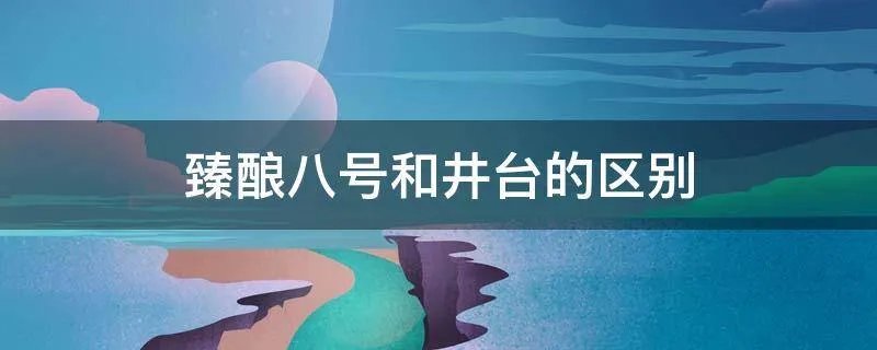 臻酿八号和井台的区别