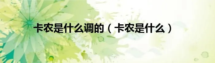 卡农是什么调的（卡农是什么）