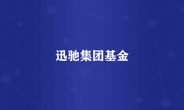 迅驰集团基金