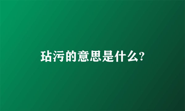 玷污的意思是什么?