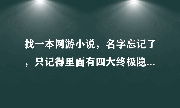 找一本网游小说，名字忘记了，只记得里面有四大终极隐藏职业，光暗圣者（主角）天空圣者，大地圣者，雾隐