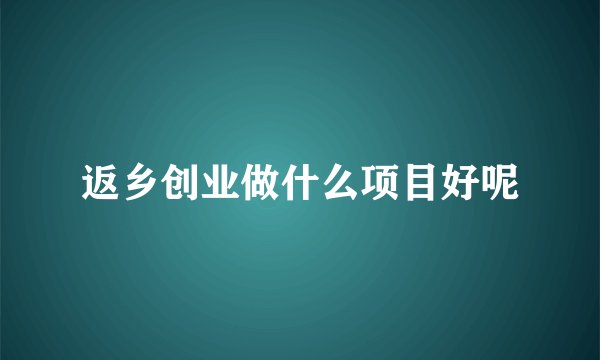 返乡创业做什么项目好呢