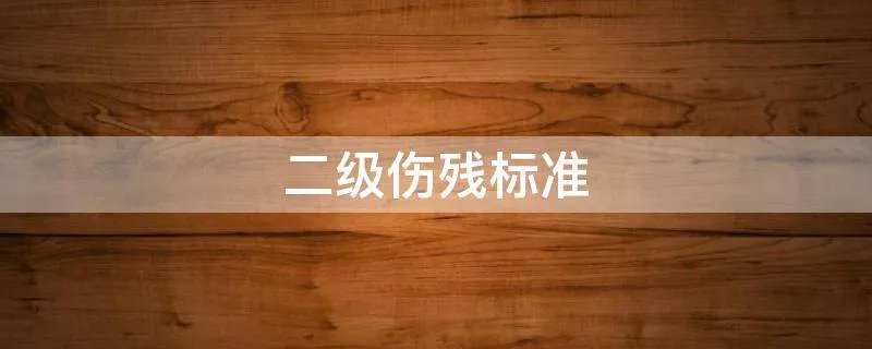 二级伤残标准