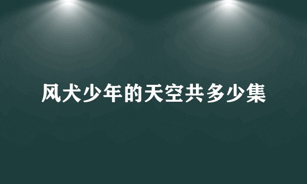 风犬少年的天空共多少集