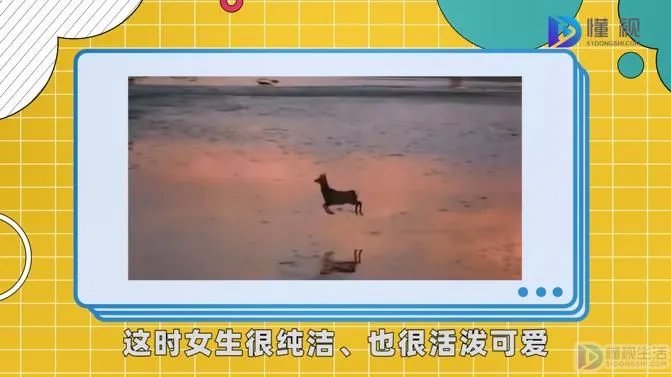 乙女啥意思
