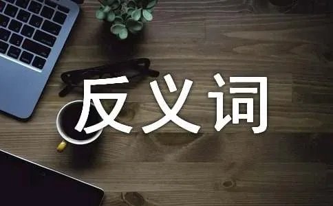 幽静的反义词