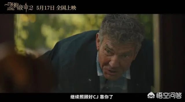 如何评价电影《一条狗的使命2》？