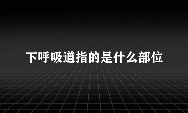下呼吸道指的是什么部位