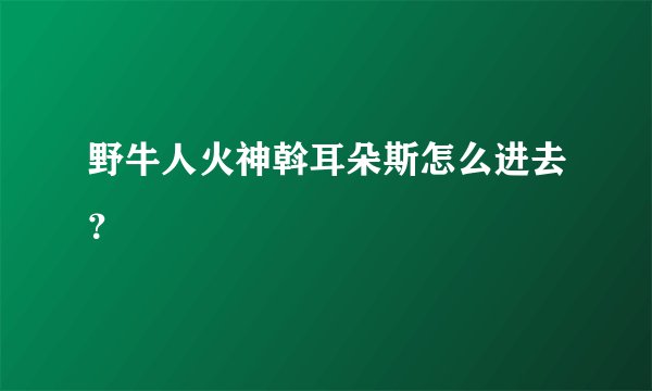 野牛人火神斡耳朵斯怎么进去？