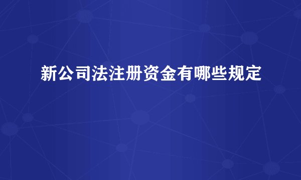 新公司法注册资金有哪些规定