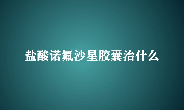 盐酸诺氟沙星胶囊治什么