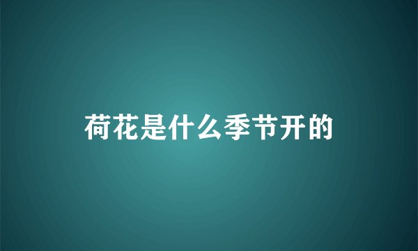荷花是什么季节开的