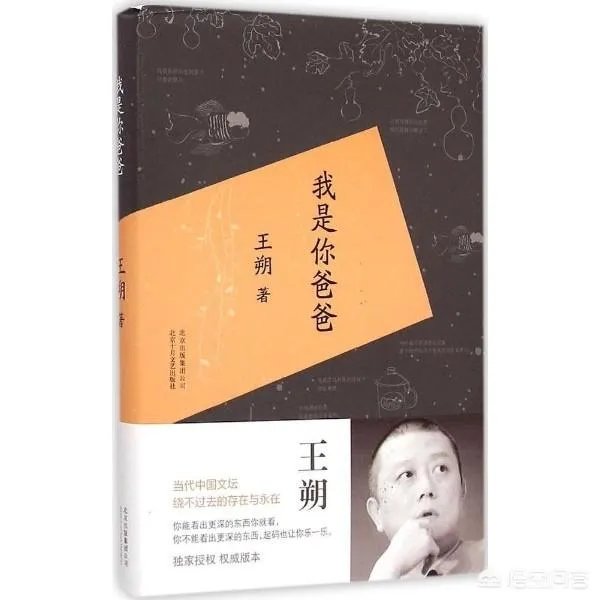 大家怎样看王朔的《我是你爸爸》?