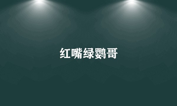 红嘴绿鹦哥