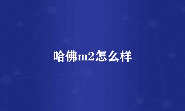 哈佛m2怎么样