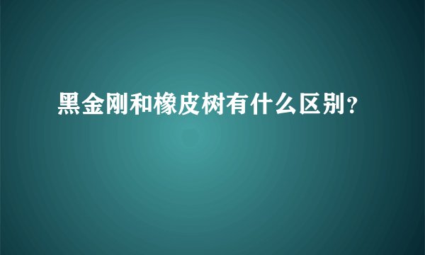 黑金刚和橡皮树有什么区别？
