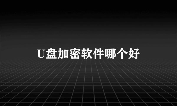 U盘加密软件哪个好