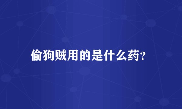 偷狗贼用的是什么药？