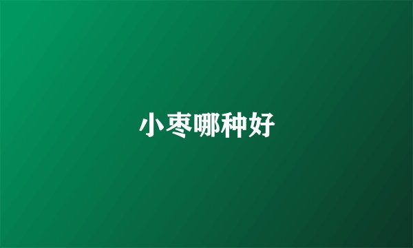 小枣哪种好