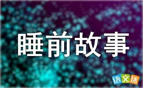 小灰狼