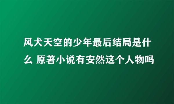 风犬天空的少年最后结局是什么 原著小说有安然这个人物吗