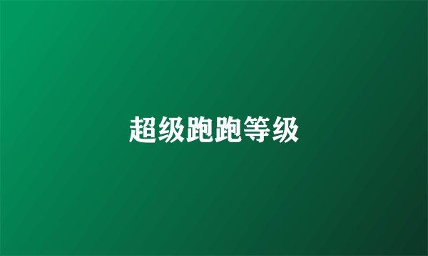 超级跑跑等级