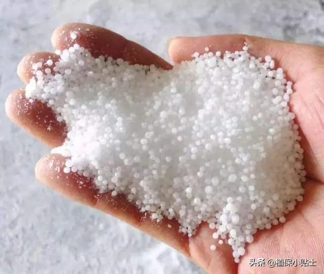 尿素做叶面肥，浓度多少合适？