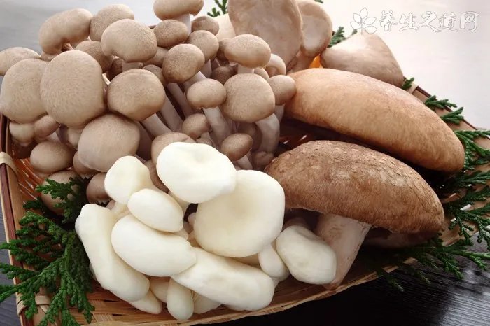 怀孕能吃鸭肉吗