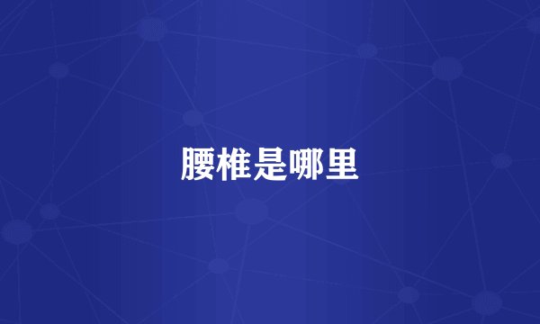 腰椎是哪里