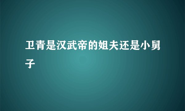卫青是汉武帝的姐夫还是小舅子