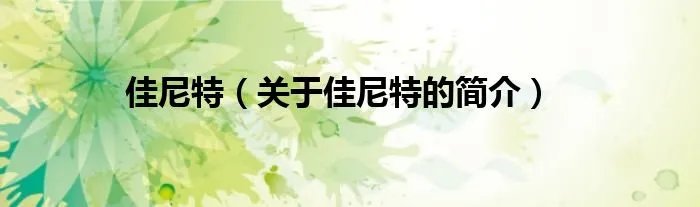 佳尼特（关于佳尼特的简介）