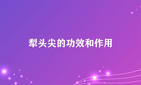 犁头尖的功效和作用