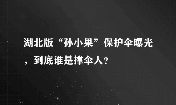 湖北版“孙小果”保护伞曝光，到底谁是撑伞人？