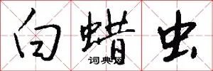 白蜡虫