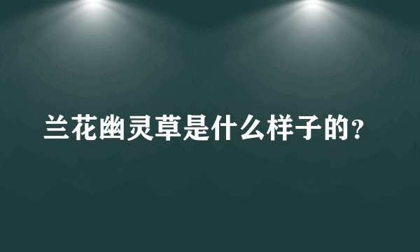 兰花幽灵草是什么样子的？