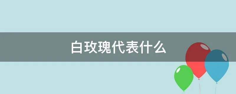 白玫瑰代表什么