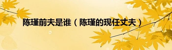 陈瑾前夫是谁（陈瑾的现任丈夫）